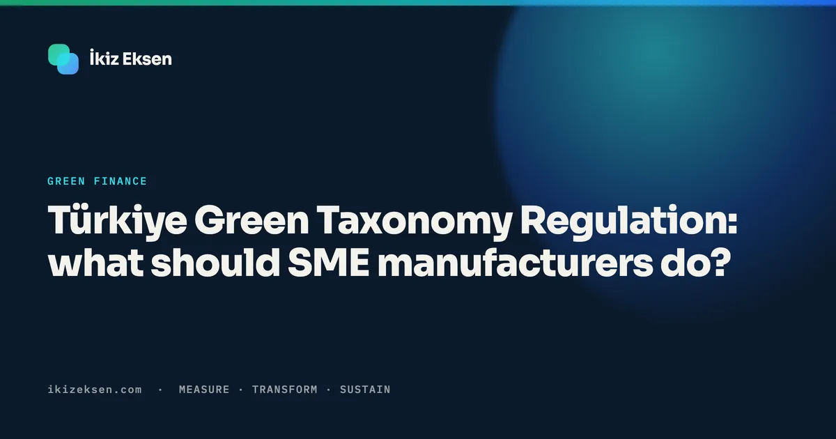 Türkiye Green Taxonomy Regulation: what should SME manufacturers do?